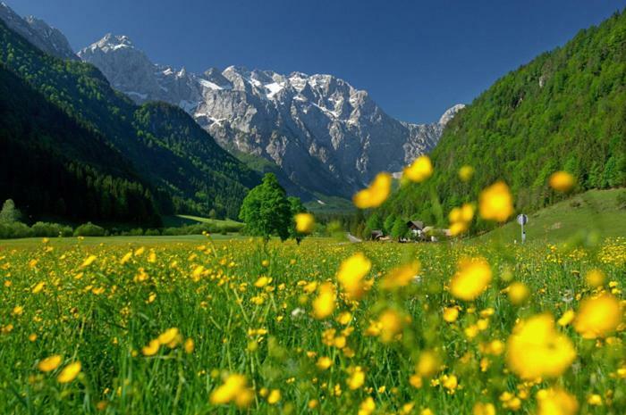 Entire Loft Close To Beautiful Logar Valley Recica ob Savinji Buitenkant foto