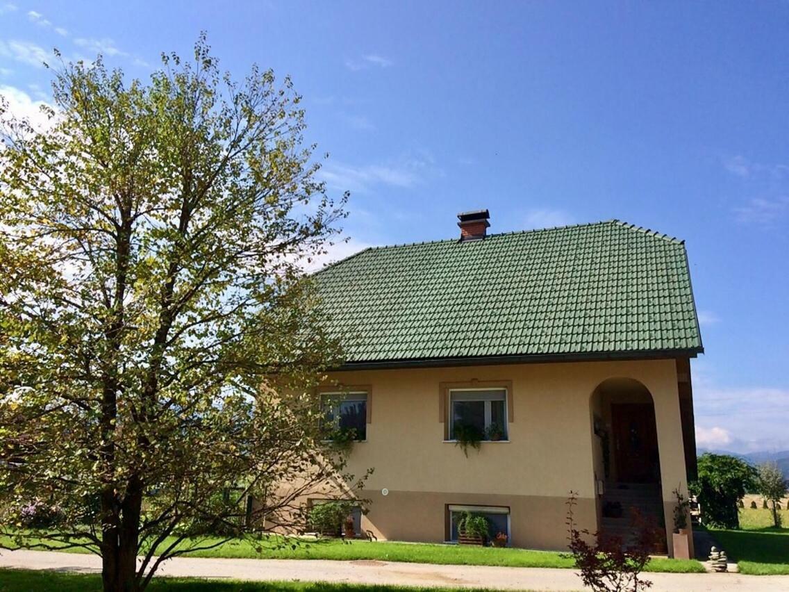Entire Loft Close To Beautiful Logar Valley Recica ob Savinji Buitenkant foto
